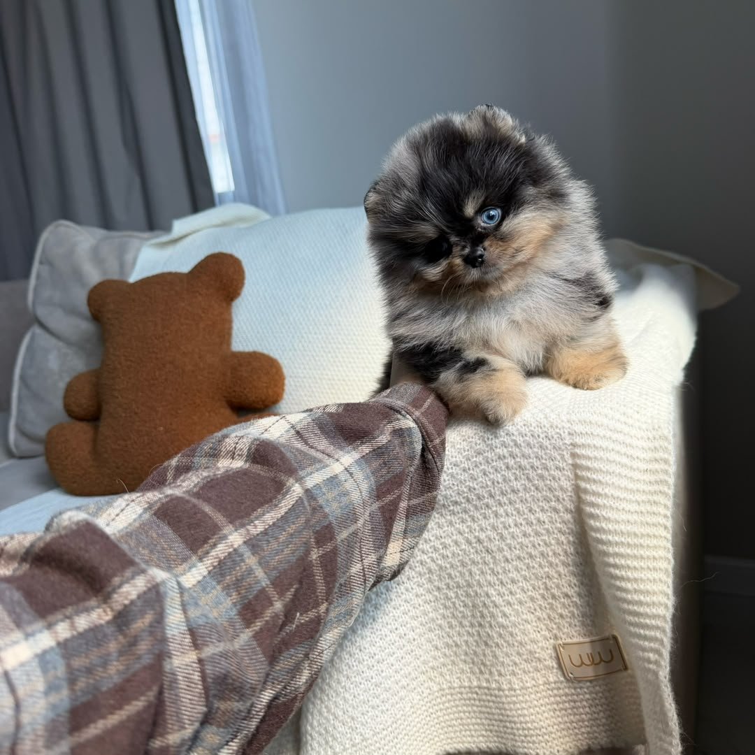 Jasper photo