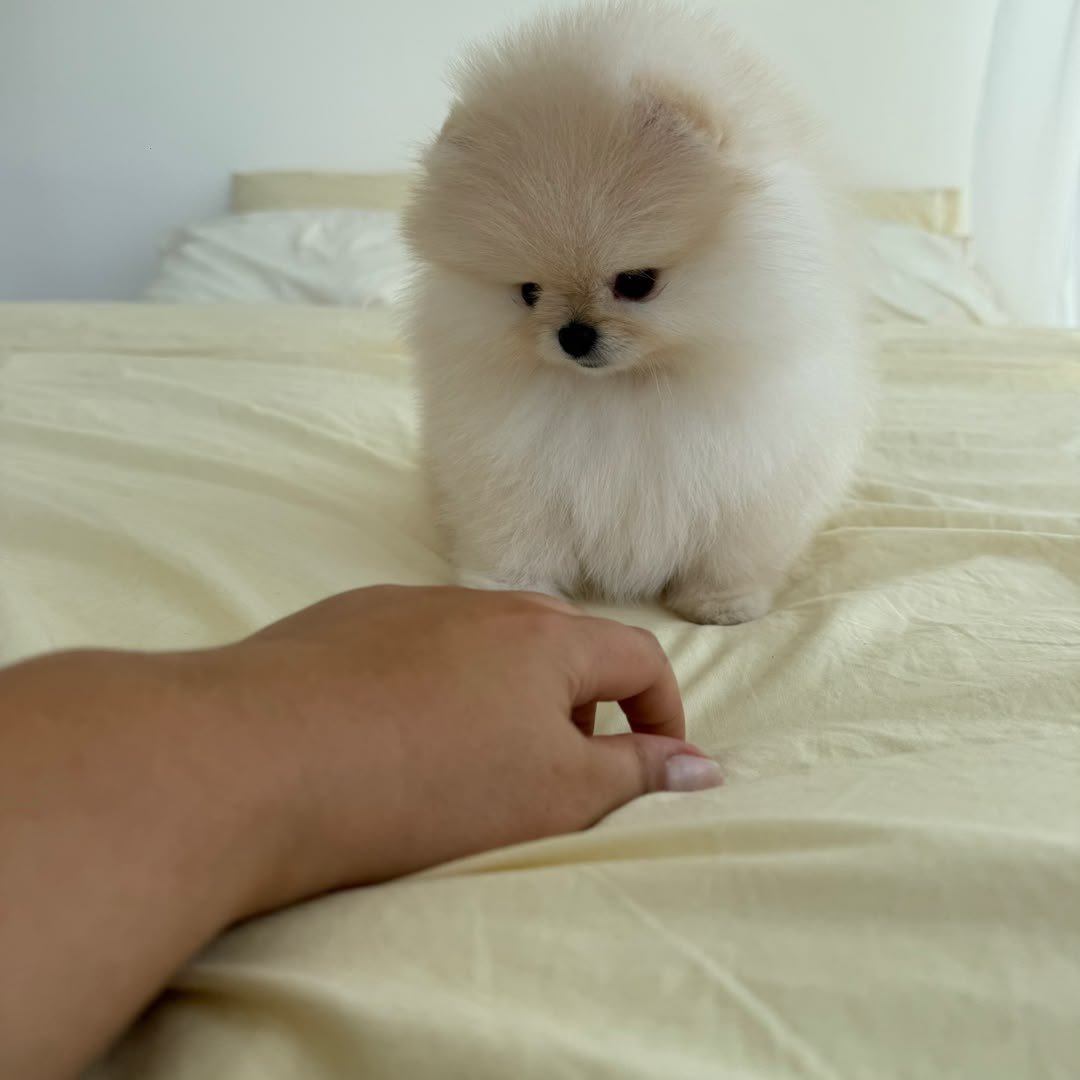Cloud