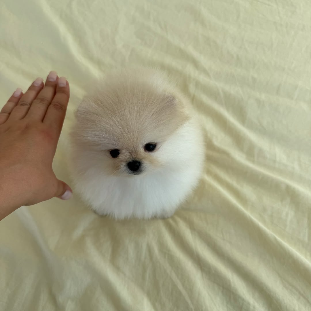Cloud photo