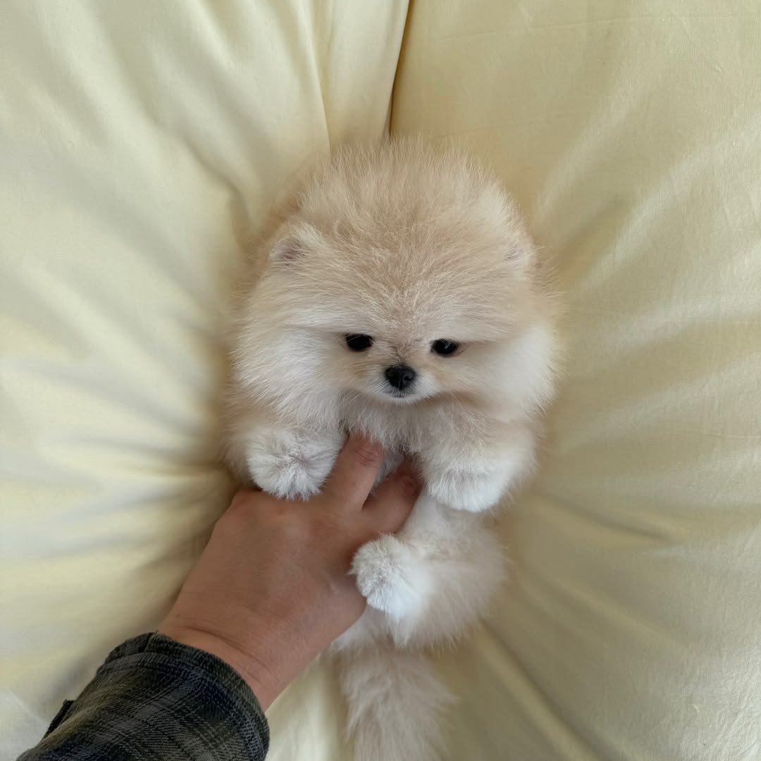 Cloud photo