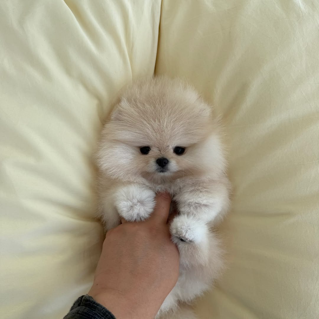 Cloud photo