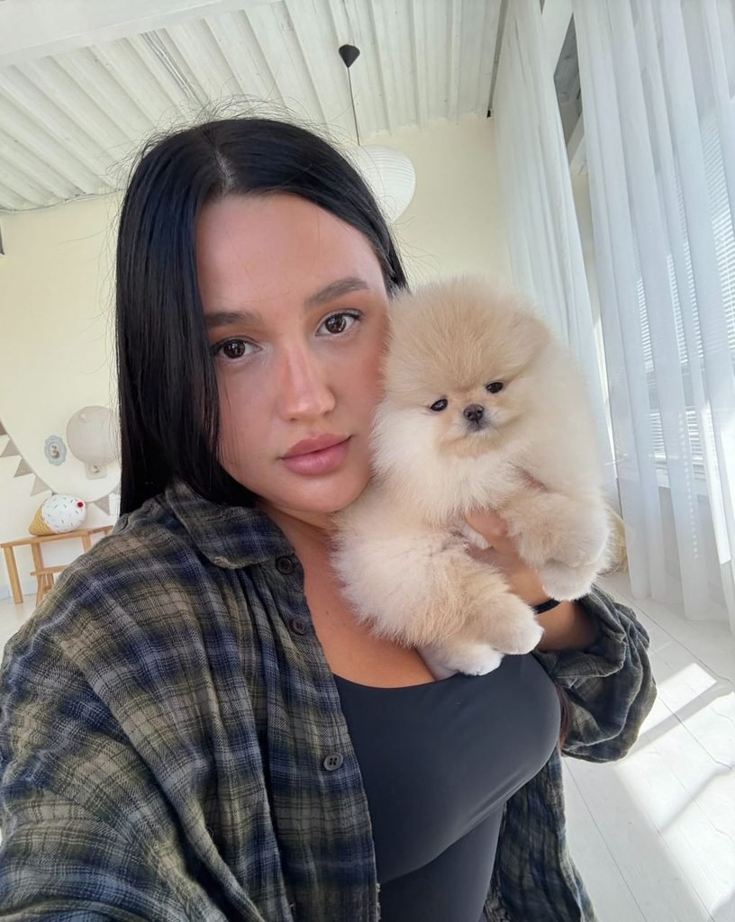 Socialized Pomeranian puppies with people