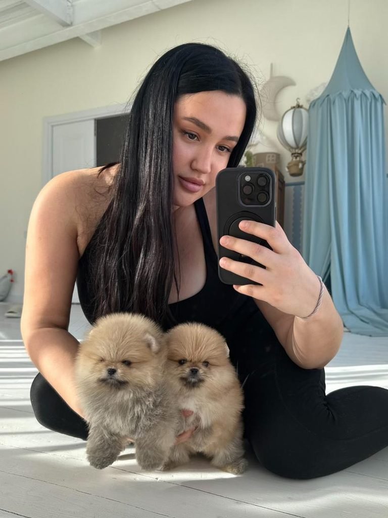 Pomeranian puppy with health records